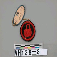 藏品(技能章)的圖片